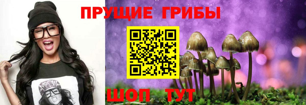 Псилоцибиновые грибы ЛСД Дюртюли