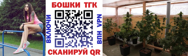где купить наркоту  Дюртюли  Бошки Шишки OG Kush 